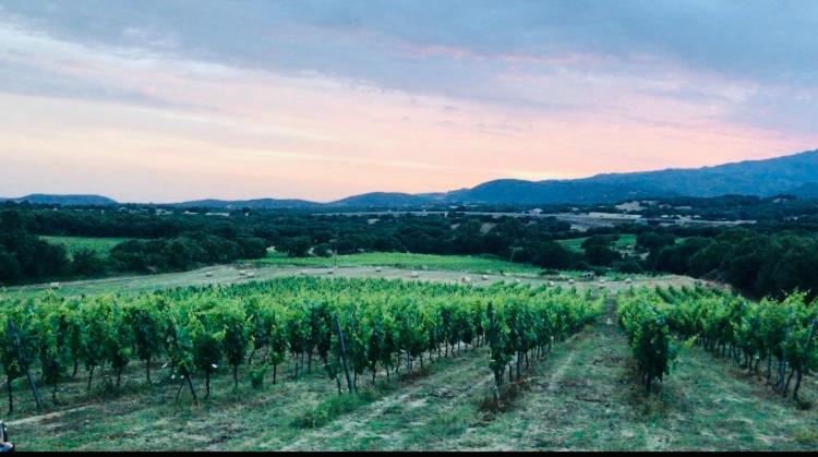 Elegant Country Open Space Deluxe Tenuta Piredu -Monti-Olbia Bagian luar foto