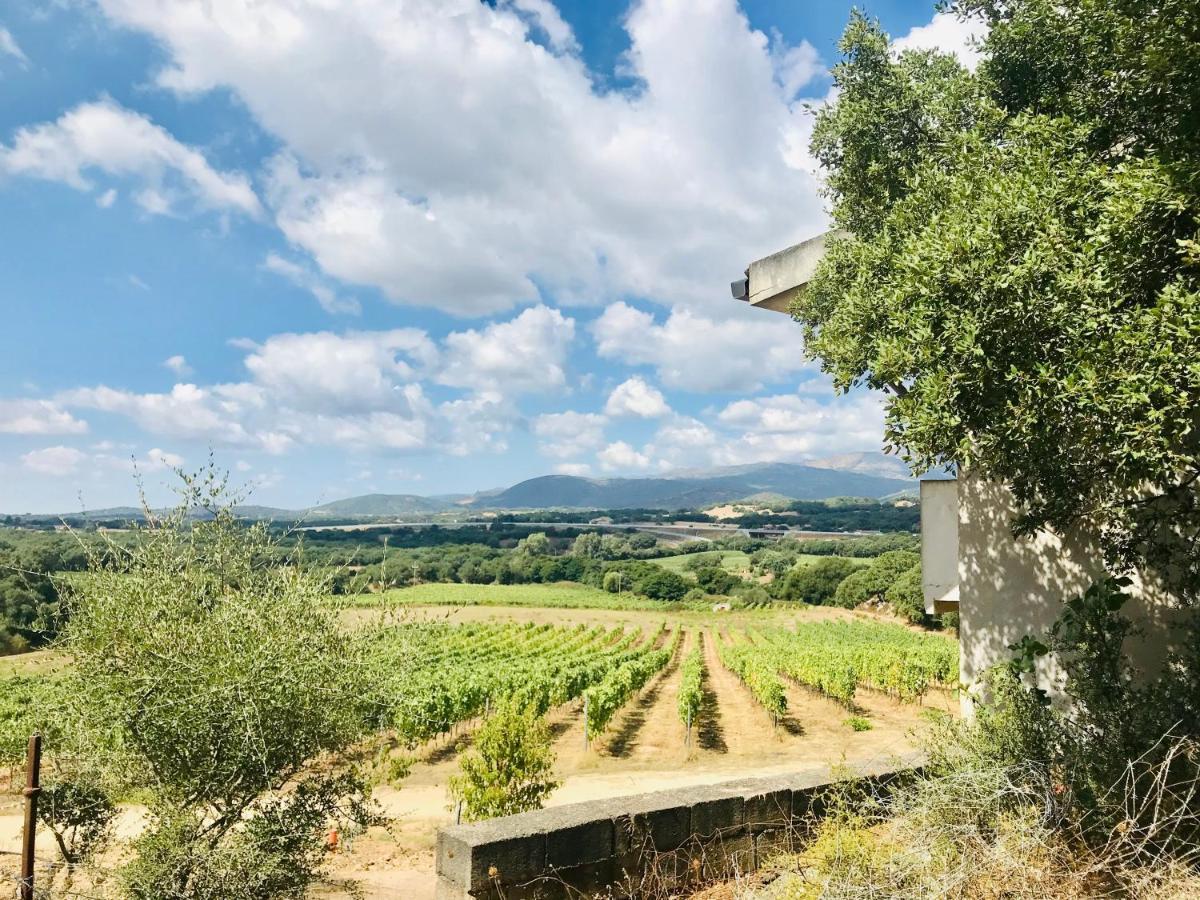 Elegant Country Open Space Deluxe Tenuta Piredu -Monti-Olbia Bagian luar foto